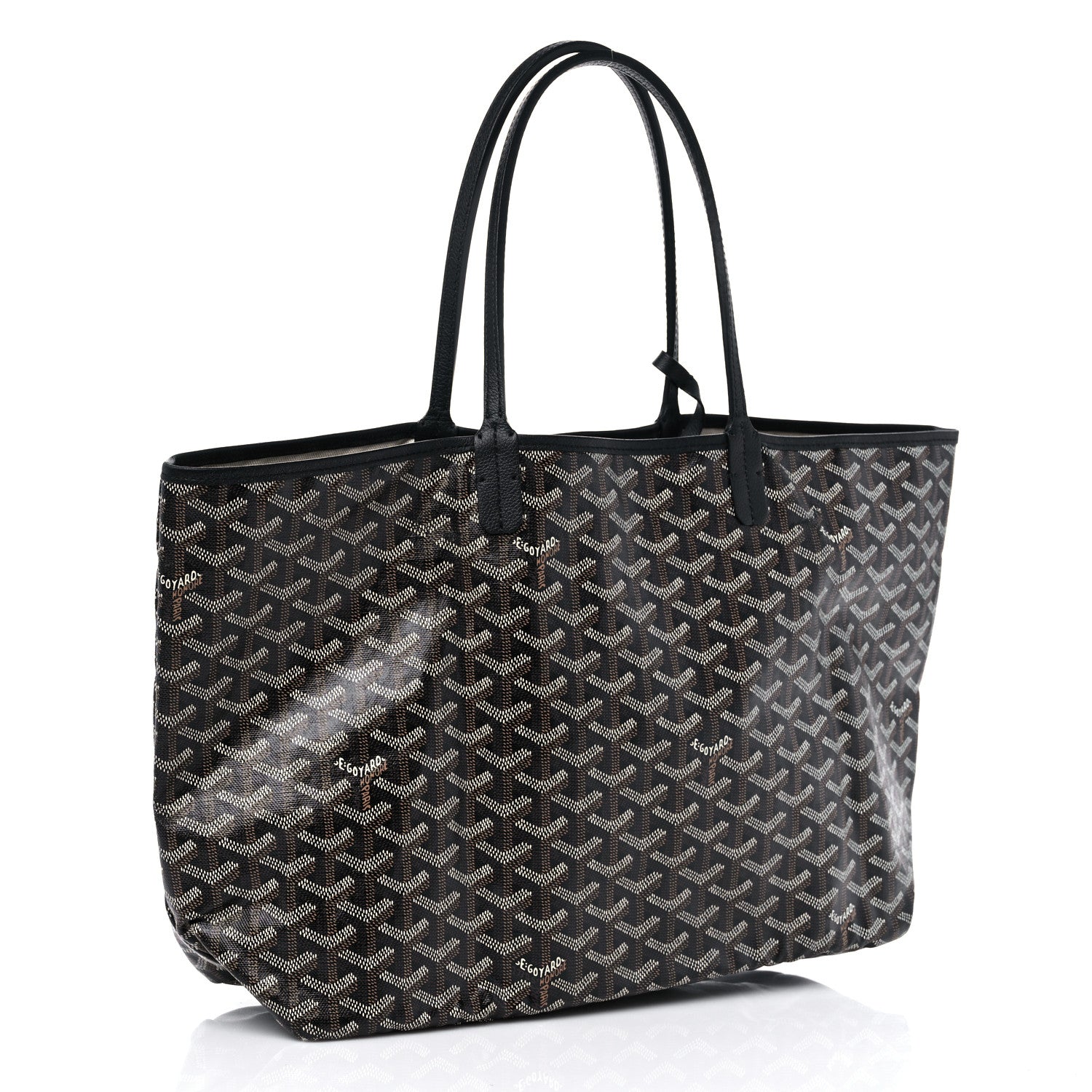 Goyard Goyardine Saint Louis PM Black 3 of 8