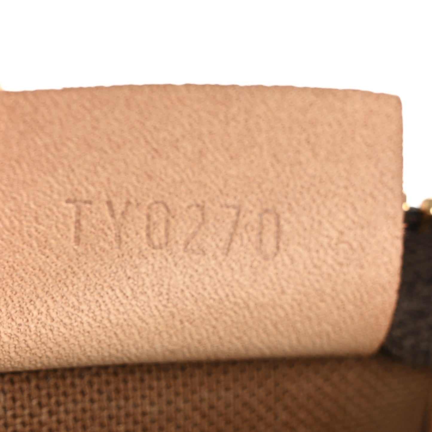 Monogram Nano Speedy