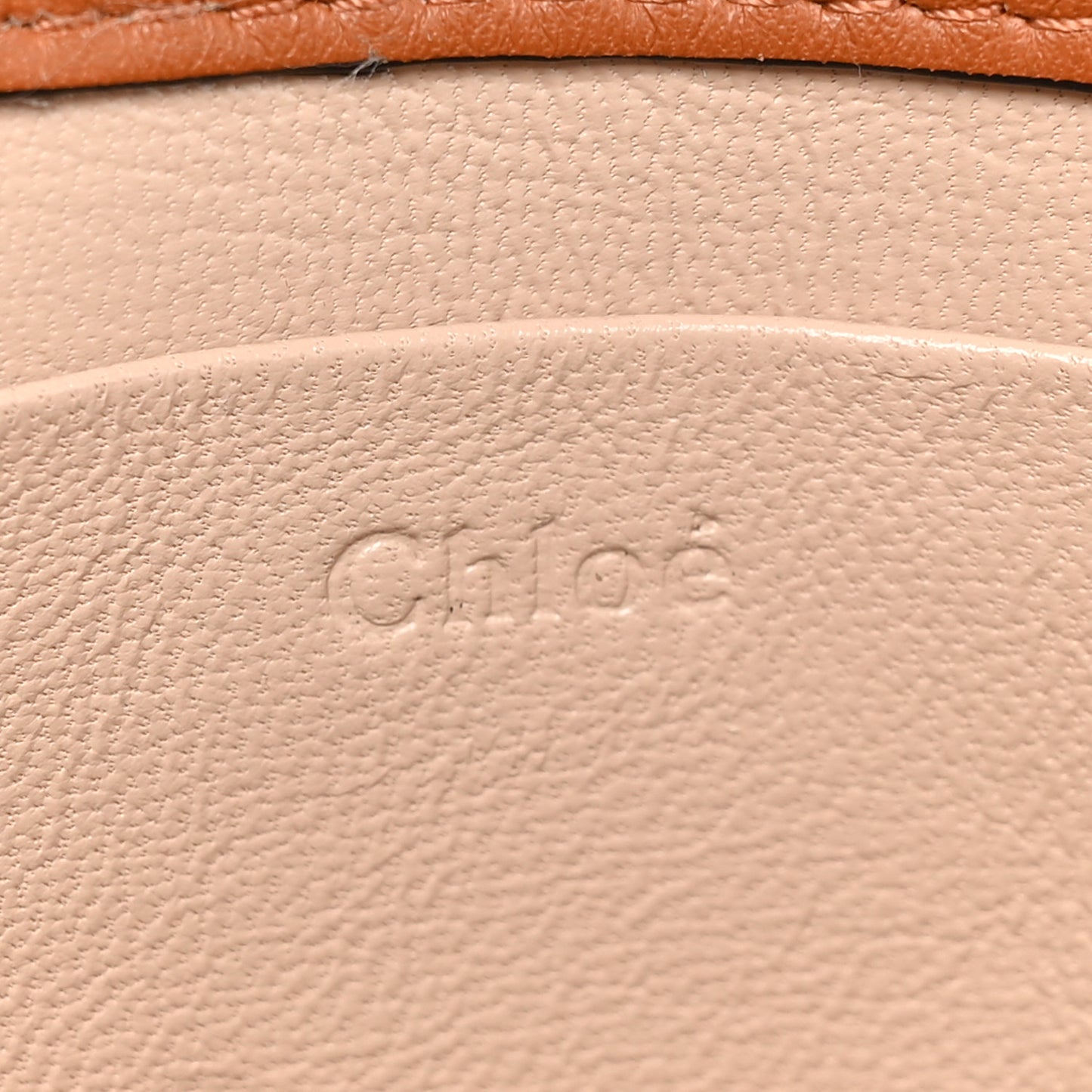 Spazzolato Sfumato Lambskin Calfskin Small Nile Bracelet Minaudiere Bag Caramel