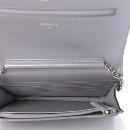 Chanel Lizard Calfskin Boy Wallet on Chain WOC Black Silver 5 of 12