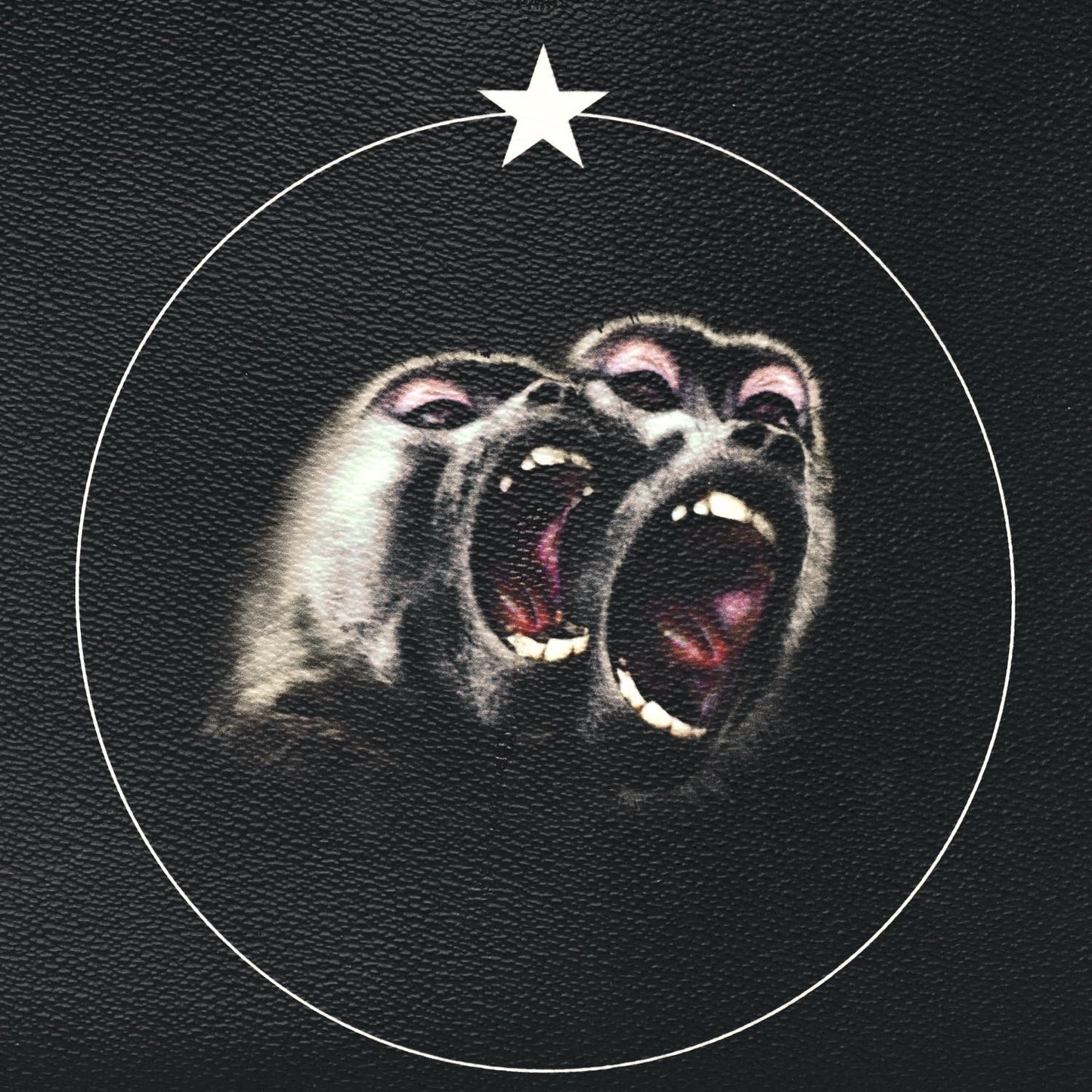 Coated Canvas Monkey Brother Print Large Zip Pouch Black