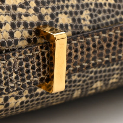 Hermes Lizard Constance 18 Ombre 15 of 16