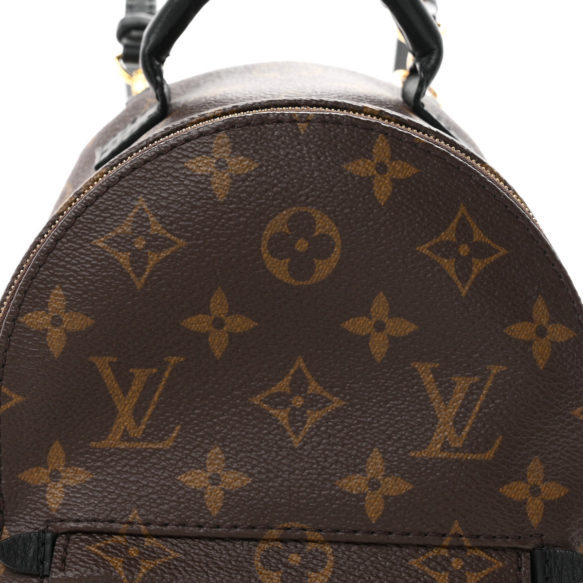Monogram Palm Springs Backpack Mini