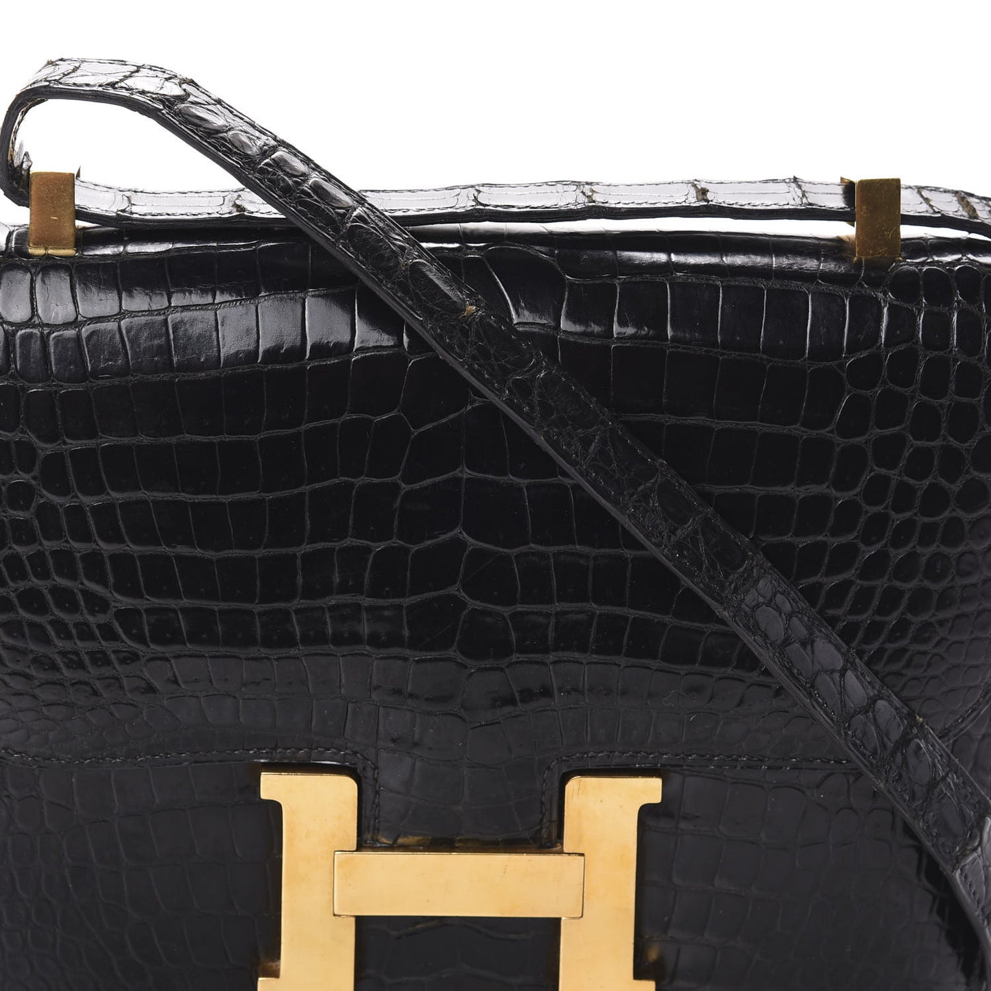 Shiny Porosus Crocodile Constance 24 Black