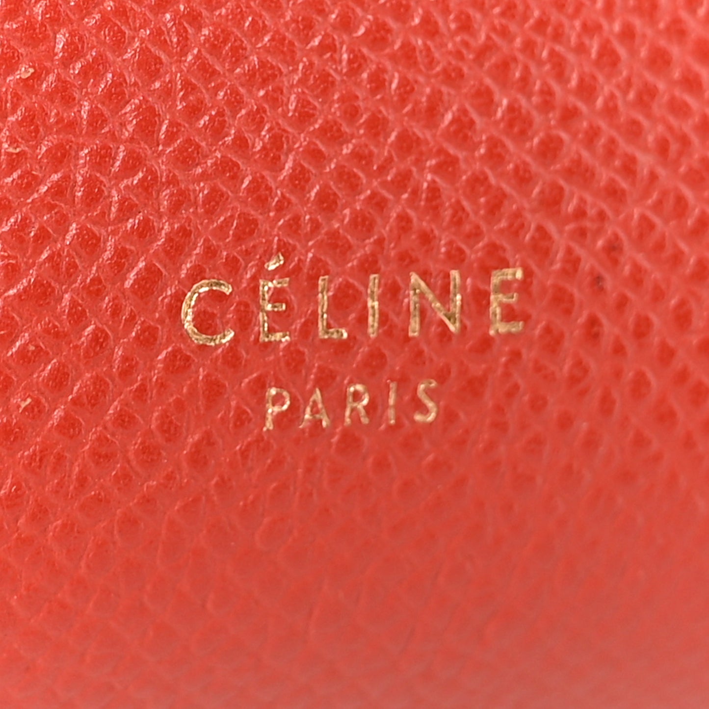 Grained Calfskin Nano Belt Bag Coral