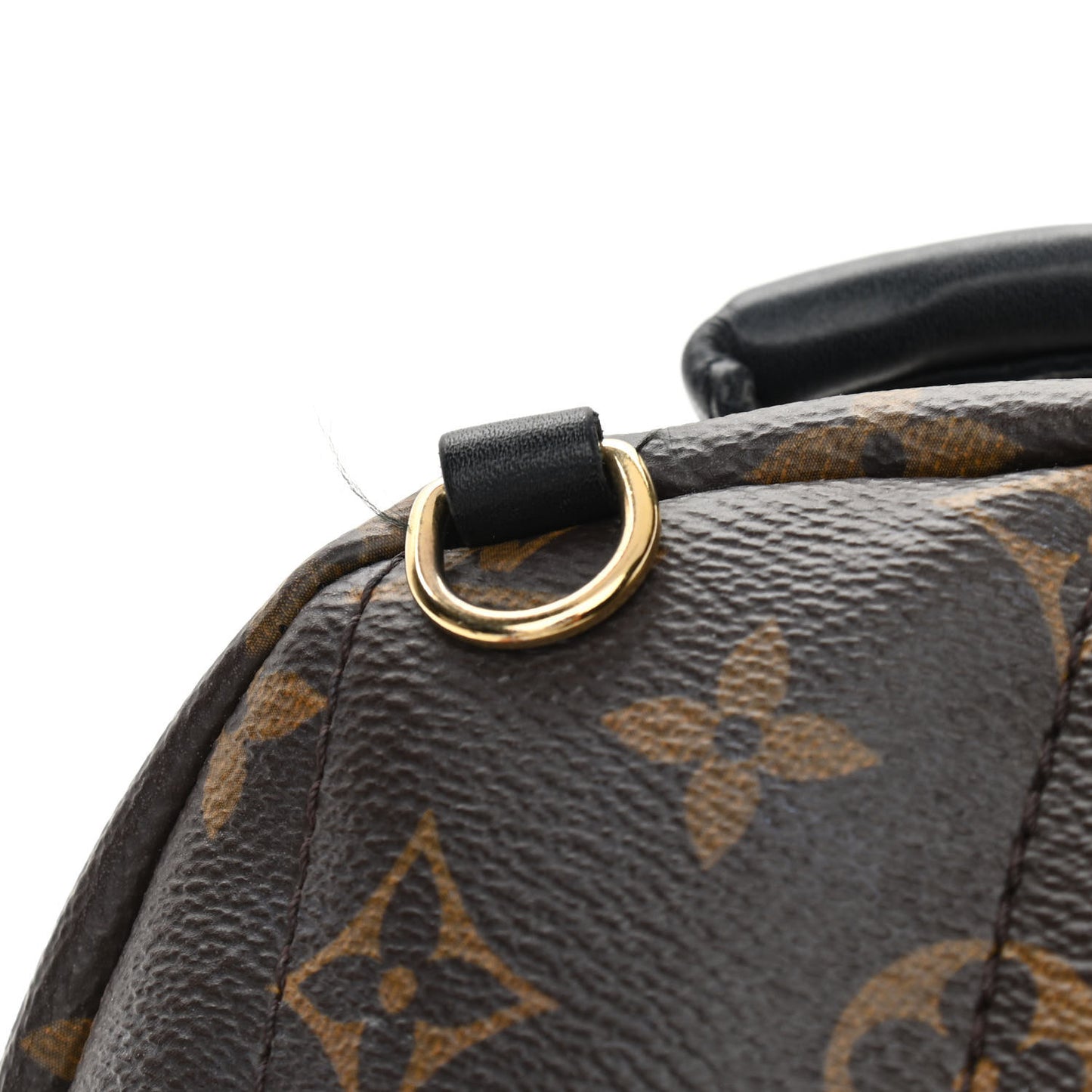 Monogram Palm Springs Backpack Mini