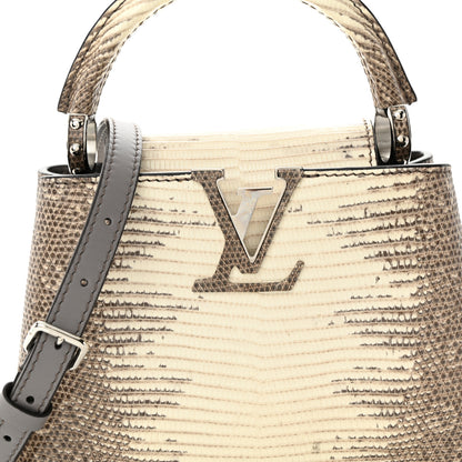 Louis Vuitton Lizard Ombre Capucines Mini Natural 7 of 10