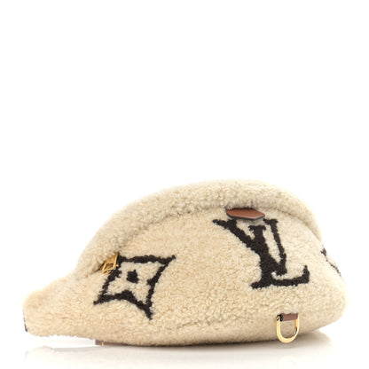 Louis Vuitton Monogram Teddy Bumbag 4 of 8