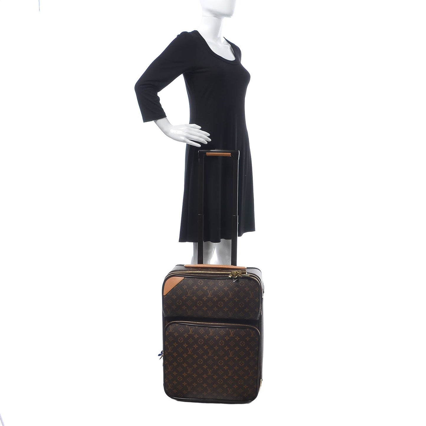 Monogram Pegase 50 Business