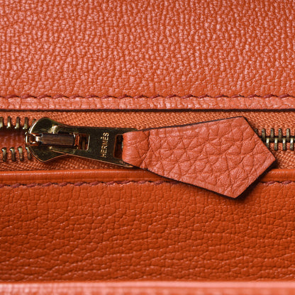 Hermes Togo Birkin 30 Terre Battue 19 of 32