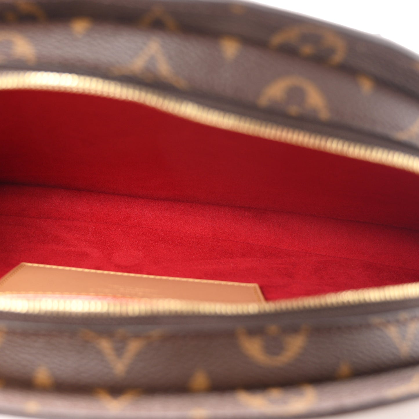 Monogram LV Fan Handag