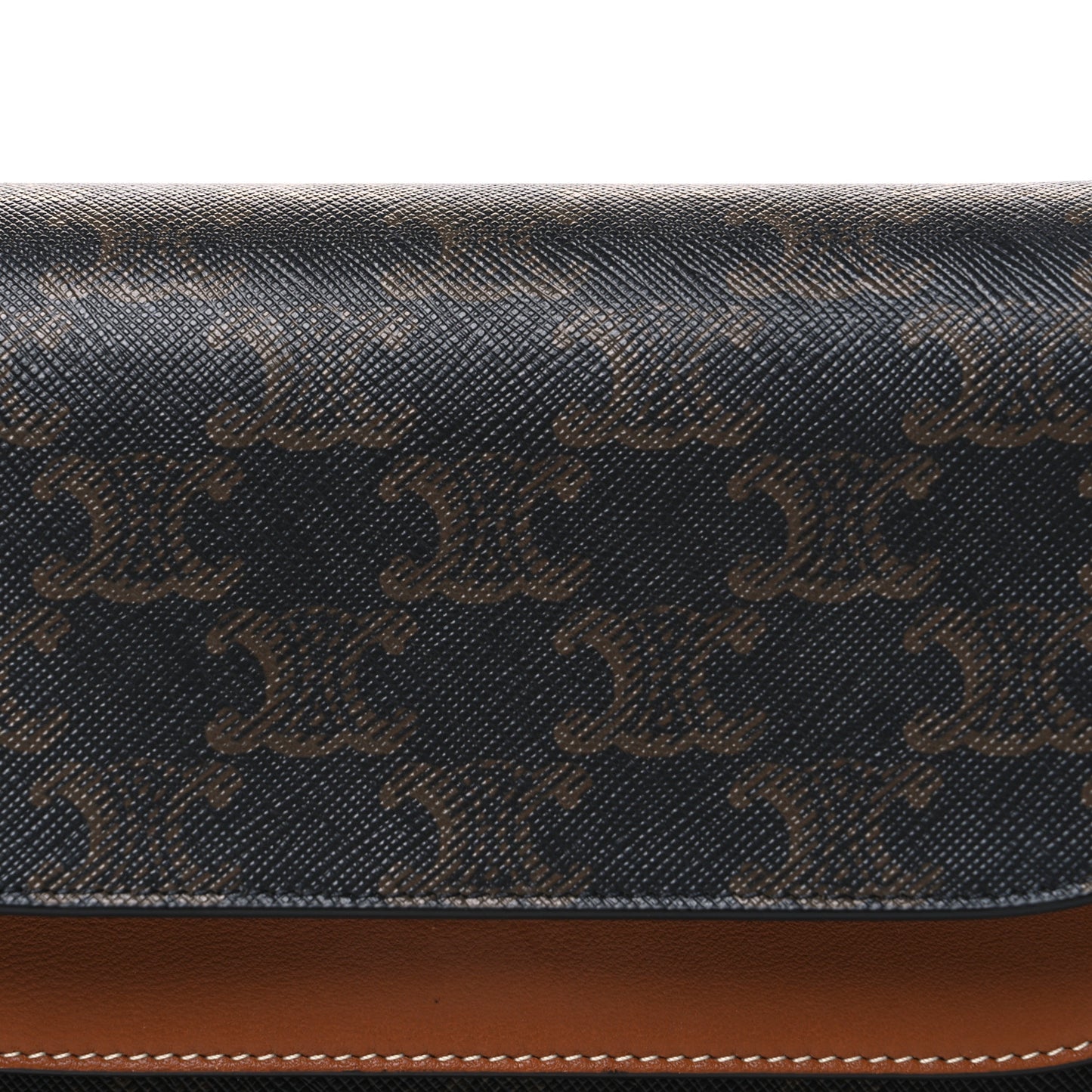 Triomphe Canvas Lambskin Wallet On Strap Tan