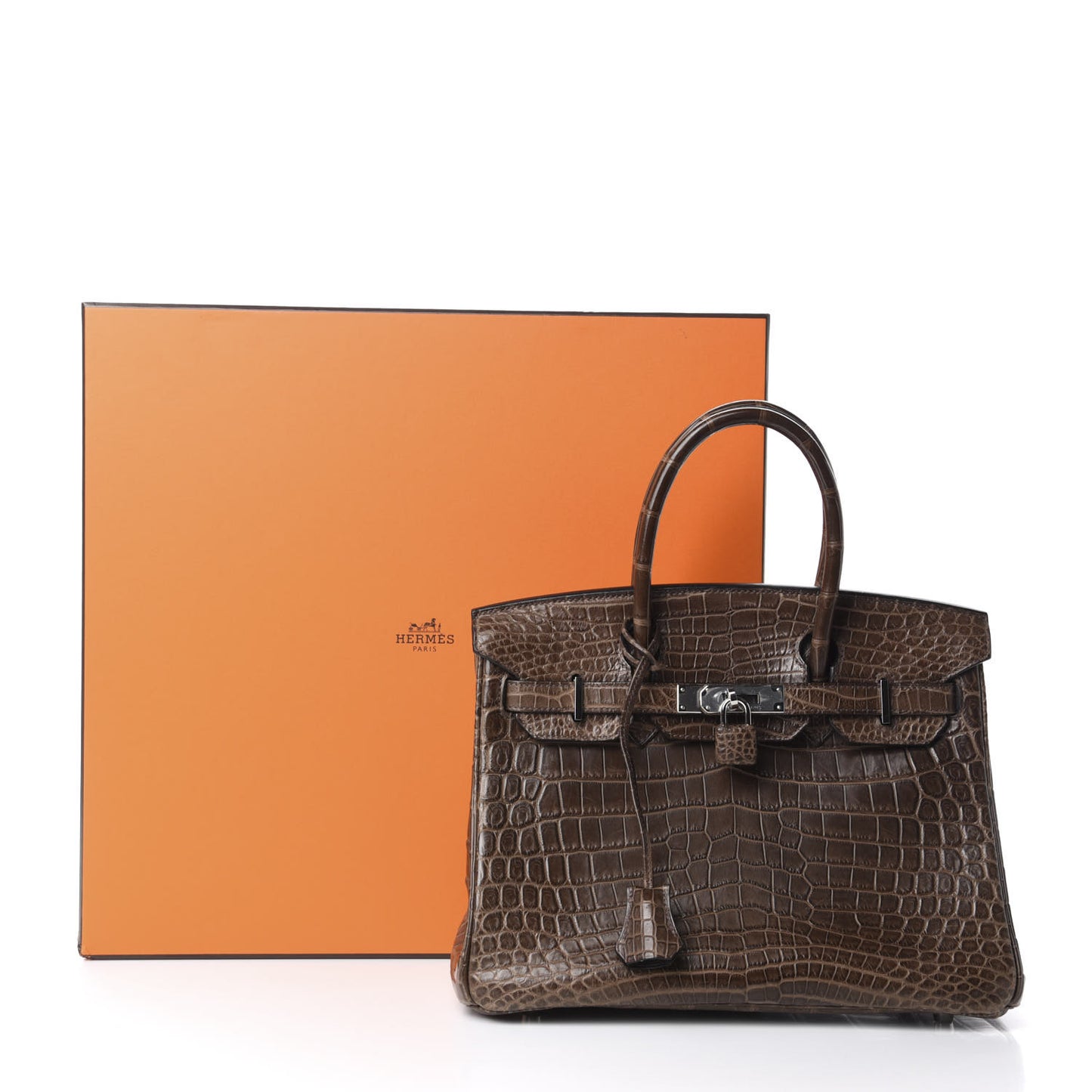 Matte Niloticus Crocodile Birkin 30 Gris Elephant