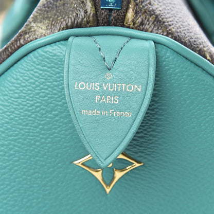 Louis Vuitton Masters Manet Speedy 30 6 of 15