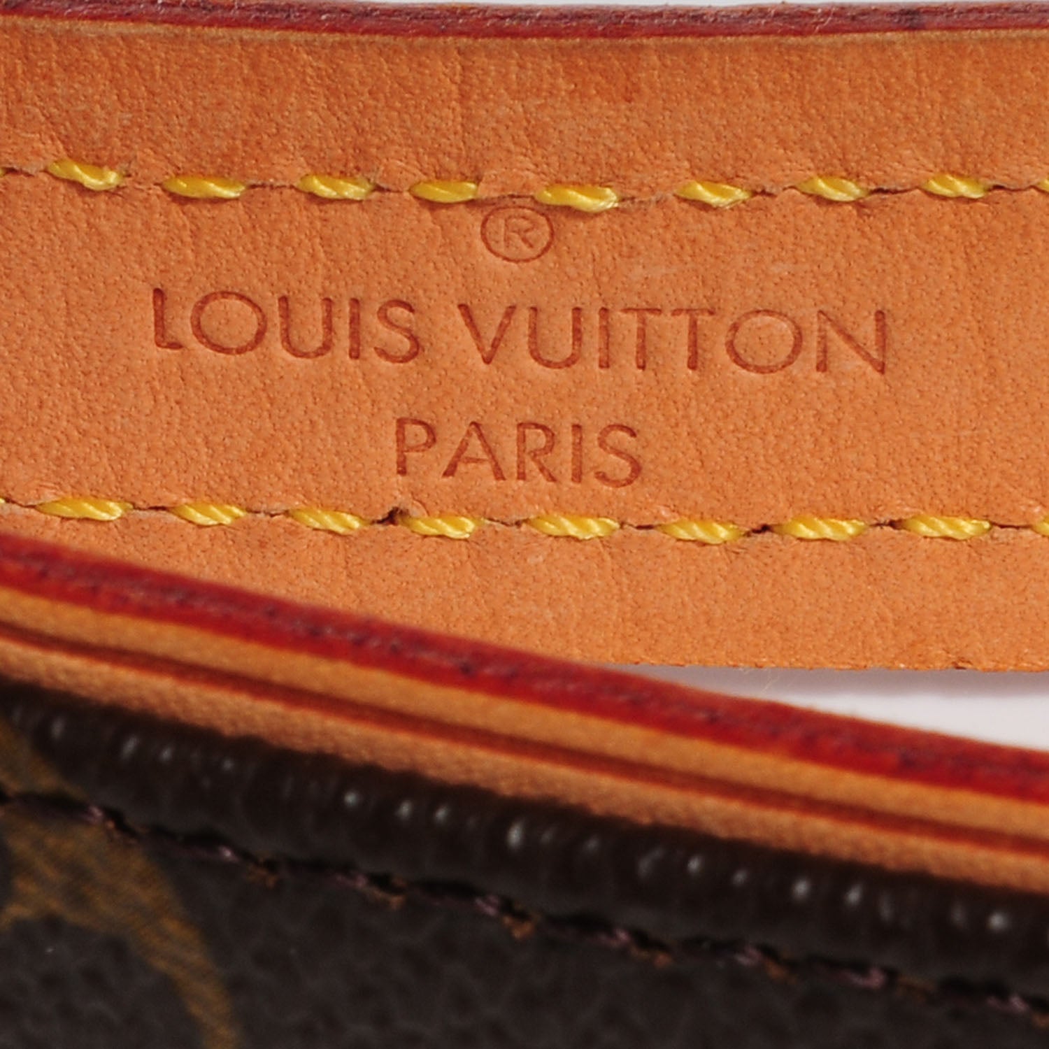 Louis Vuitton Monogram Baxter Dog Leash MM 3 of 5
