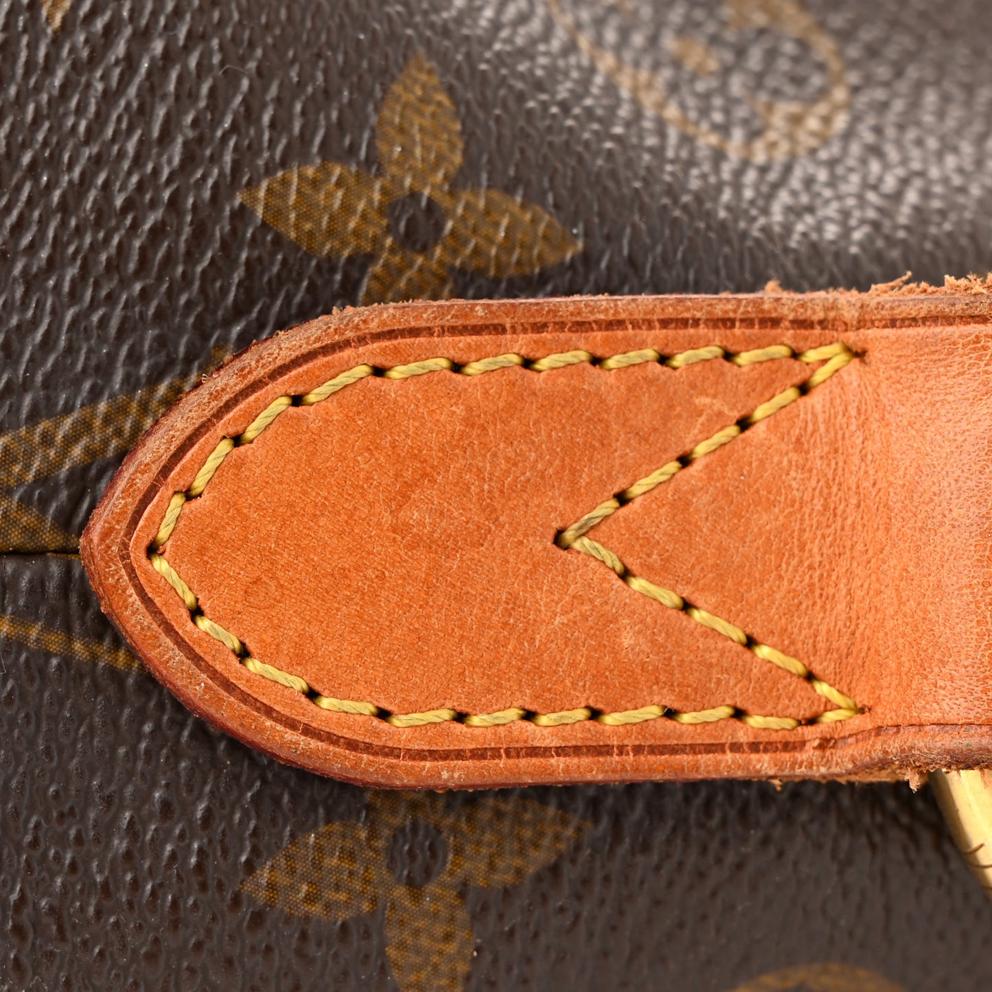 Monogram Delightful MM