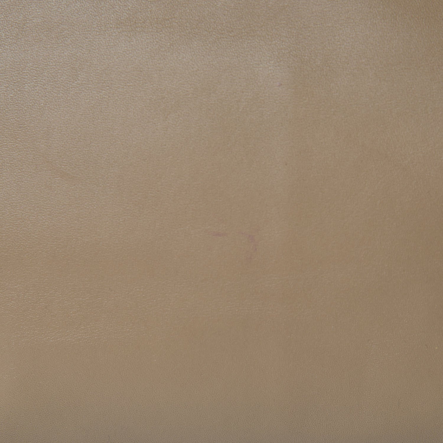 Loewe Calfskin T Pouch Mink 11 of 13