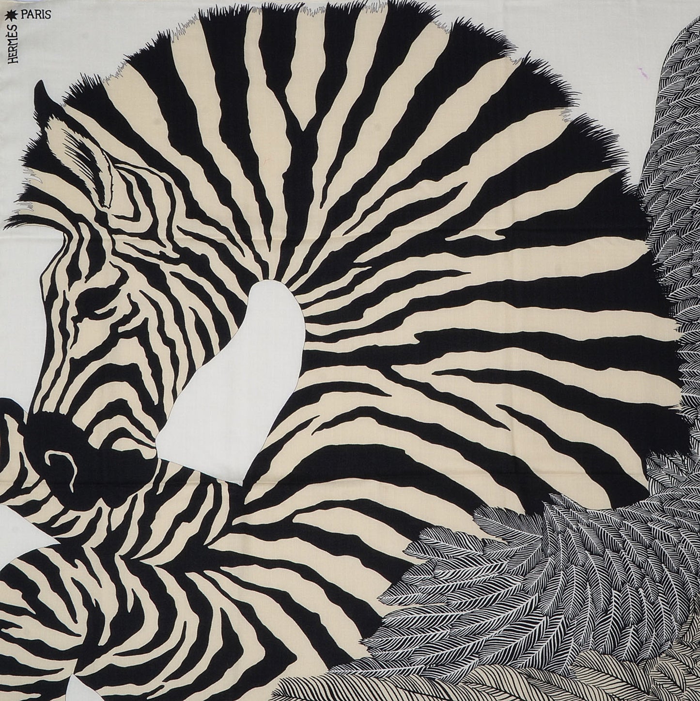 Cashmere Silk Zebra Pegasus Scarf GM 140 Blanc Noir Naturel