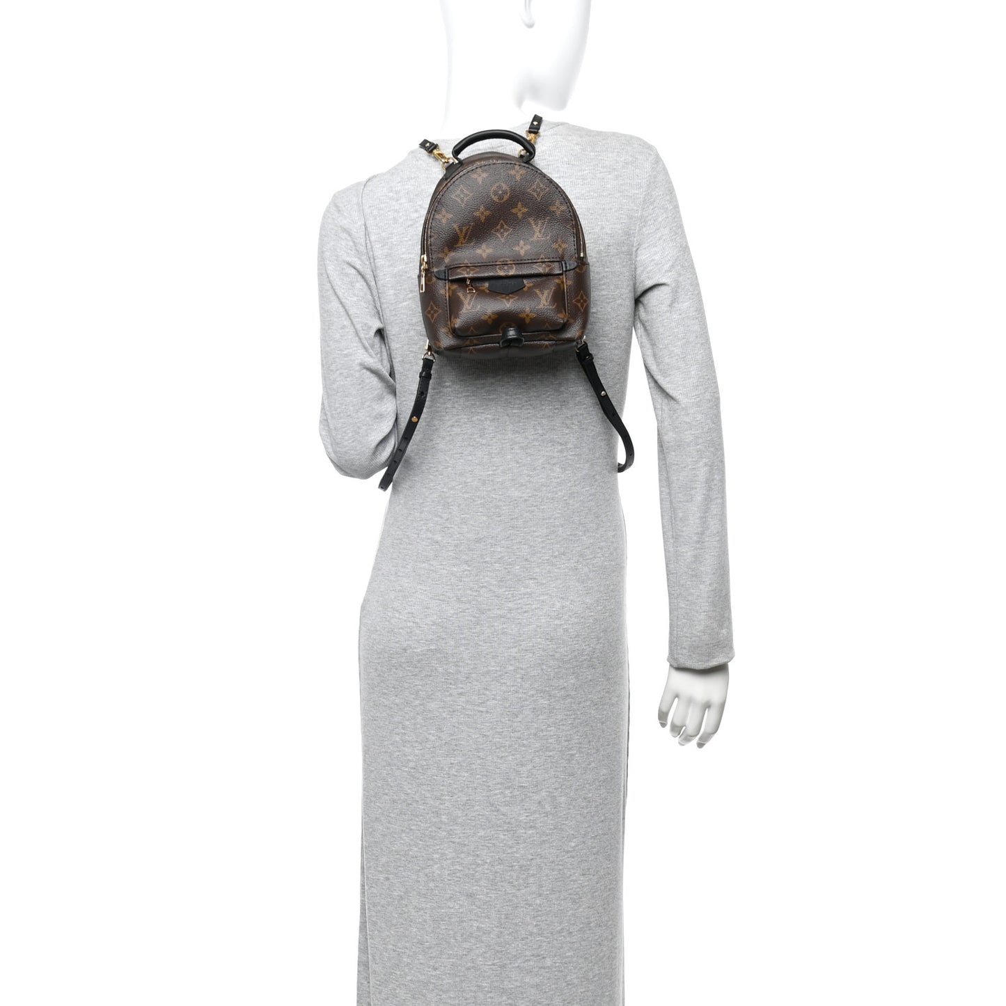 Monogram Palm Springs Backpack Mini