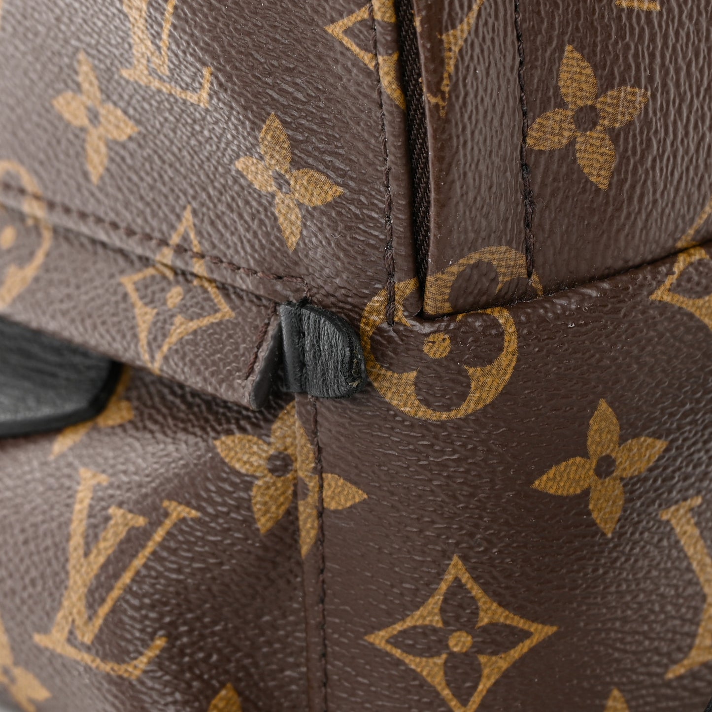 Monogram Palm Springs Backpack Mini