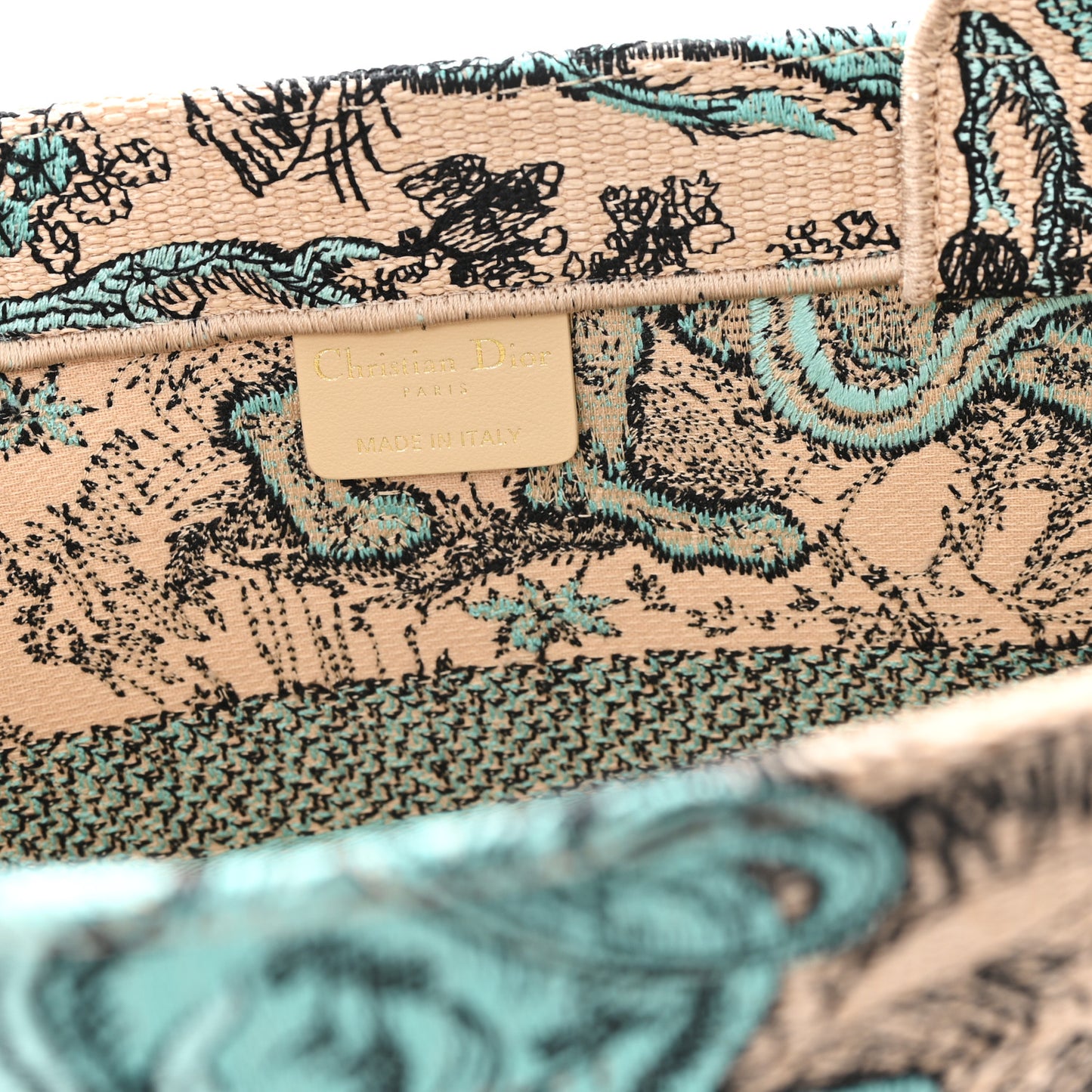 Raffia Embroidered Dioriviera Medium Book Tote Aquamarina