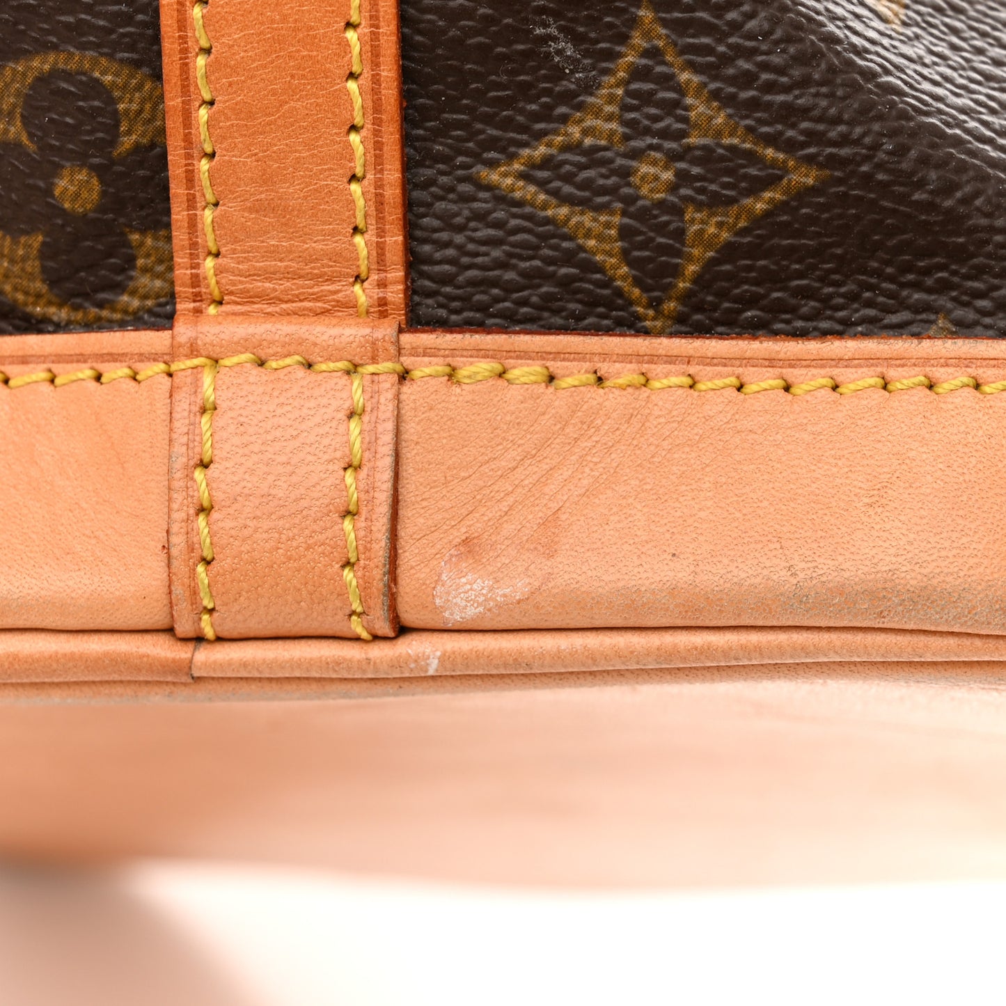 Monogram Mini Noe