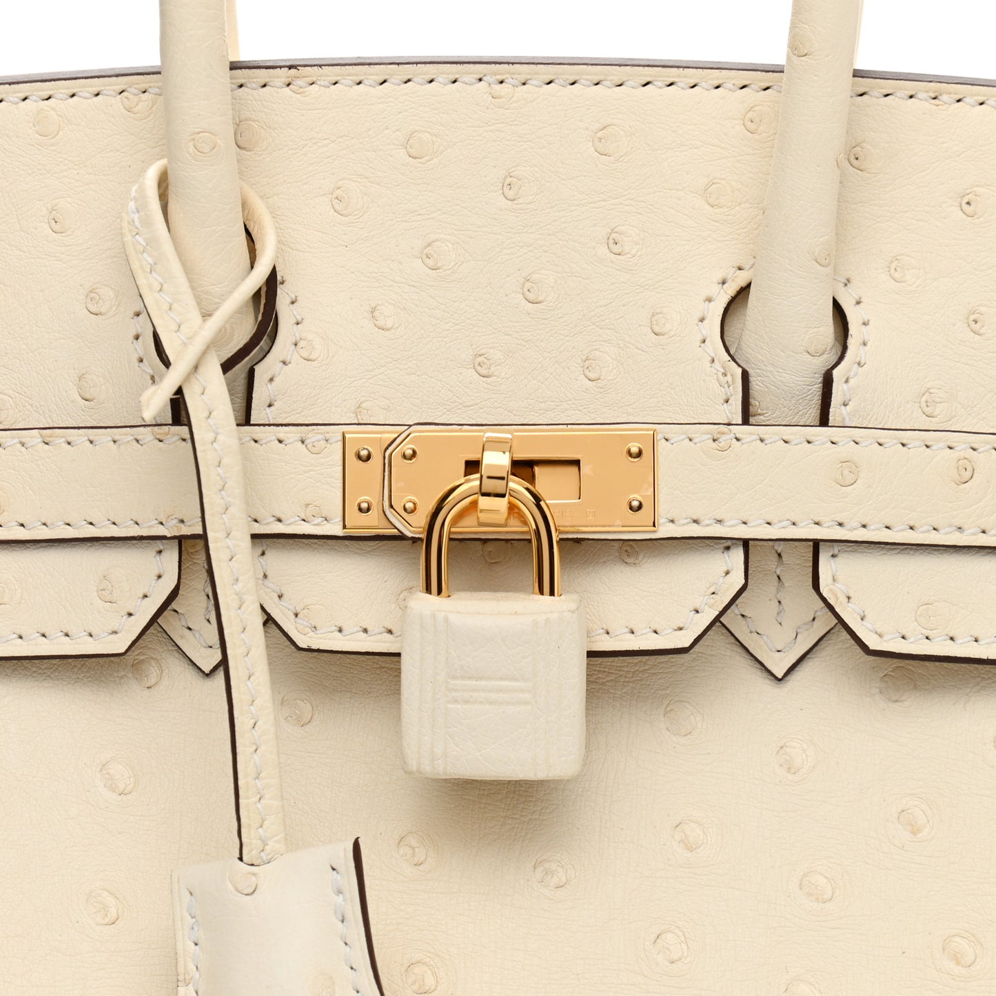 Ostrich Birkin 25 Nata