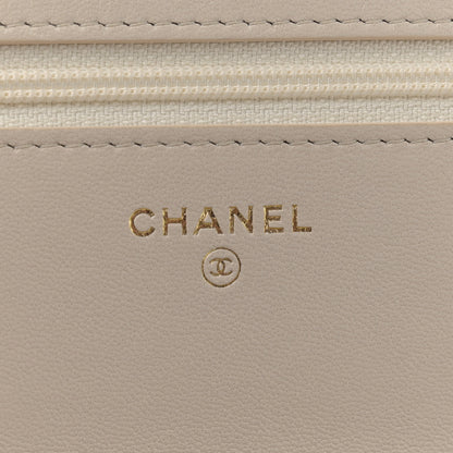 Chanel Lambskin Quilted Chanel 19 Wallet On Chain WOC Light Beige 6 of 11
