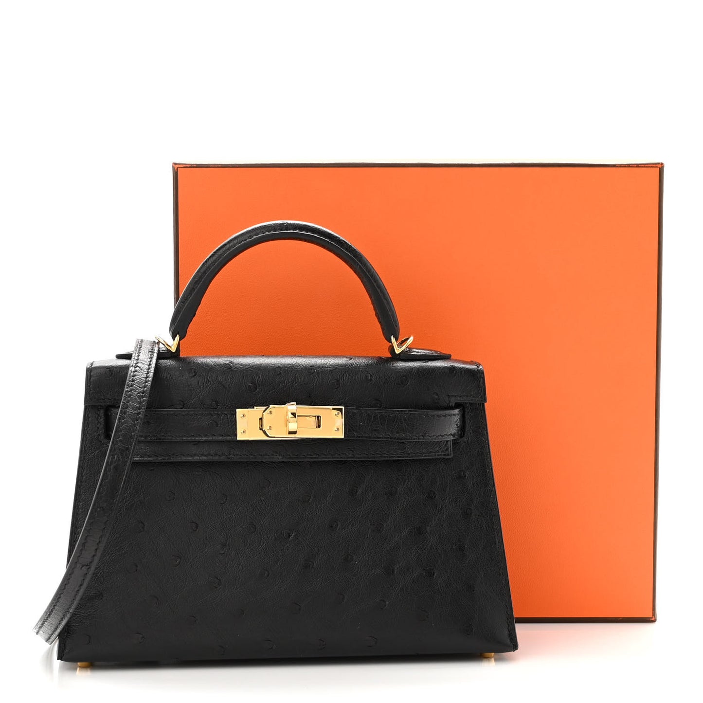 Ostrich Kelly Sellier Mini 20 Black