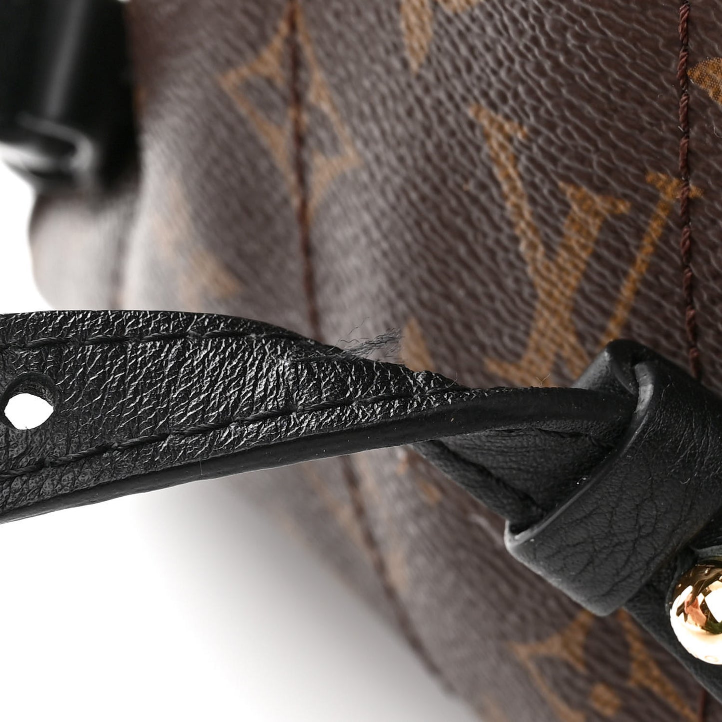 Monogram Palm Springs Backpack PM