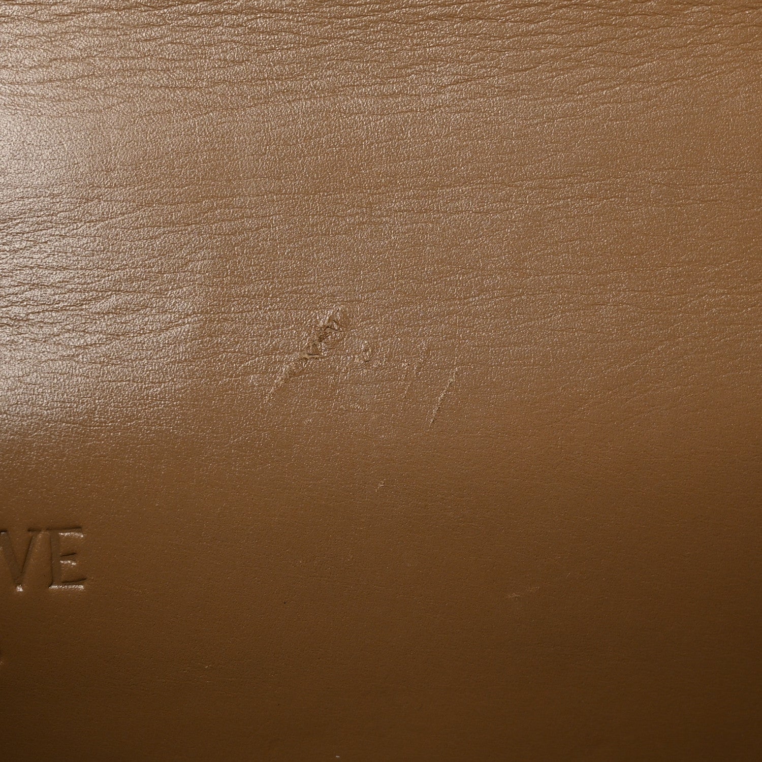 Loewe Calfskin Small Barcelona Shoulder Bag Mink 10 of 12
