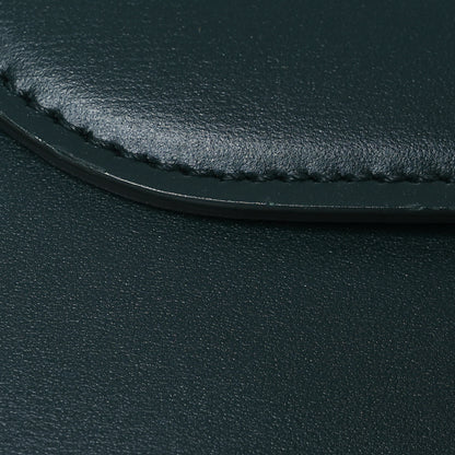 Celine Shiny Calfskin Medium Triomphe Amazone 16 of 18