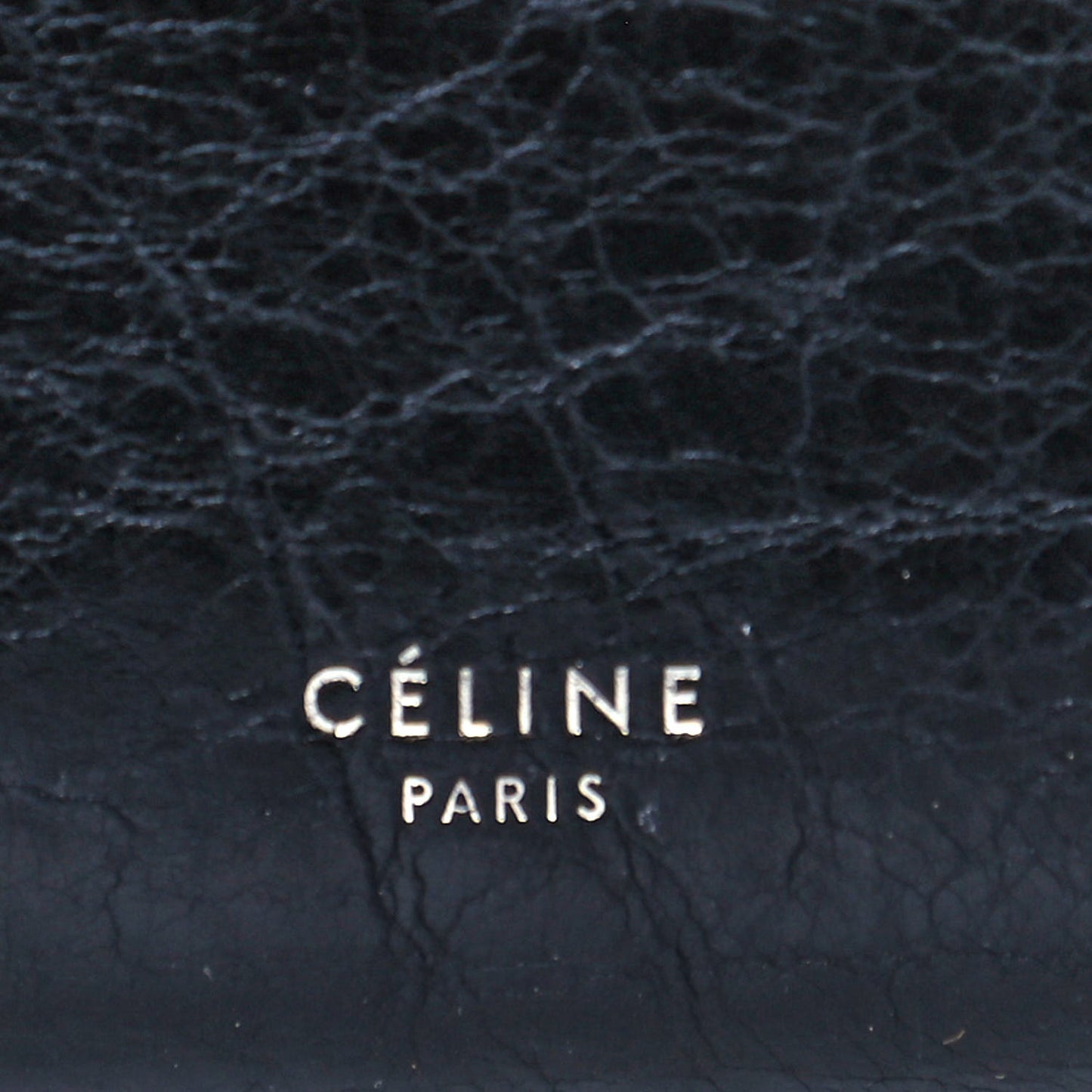 Calfskin Large Clasp Cabas Black