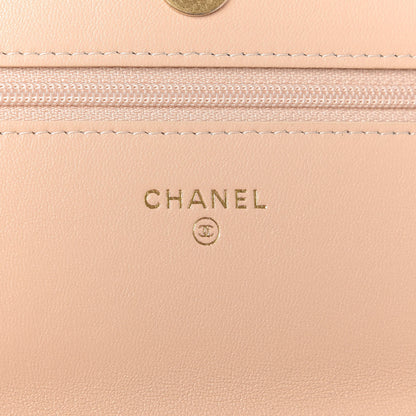 Chanel Lambskin Quilted Chanel 19 Wallet On Chain WOC Beige 8 of 11