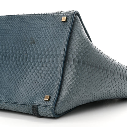 Celine Snakeskin Medium Phantom Luggage Grey 20 of 22