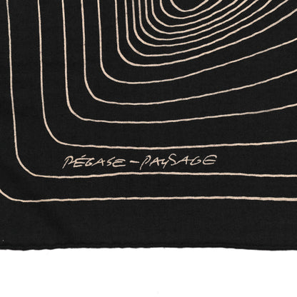 Hermes Cashmere Silk Pegase Paysage Shawl 140 Black Beige 5 of 6