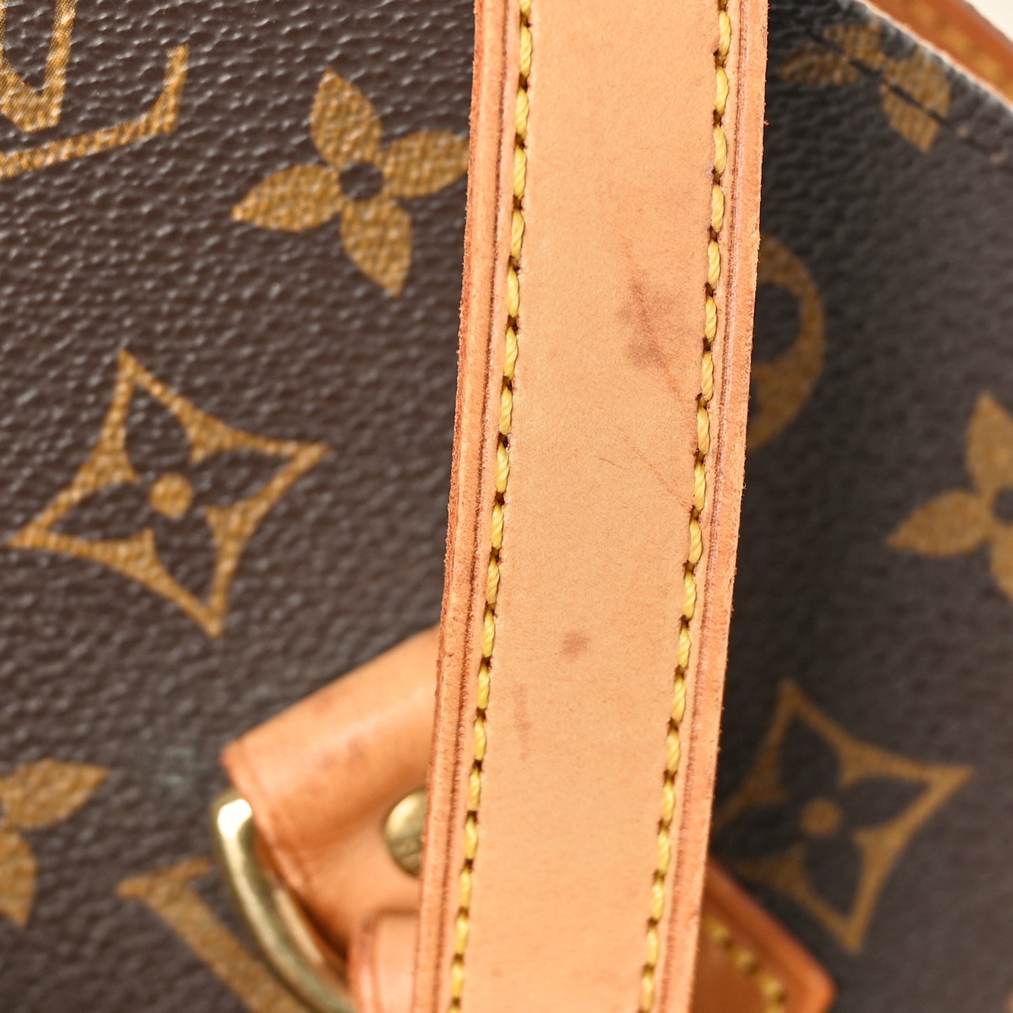 Monogram Ellipse GM Shopping Bag