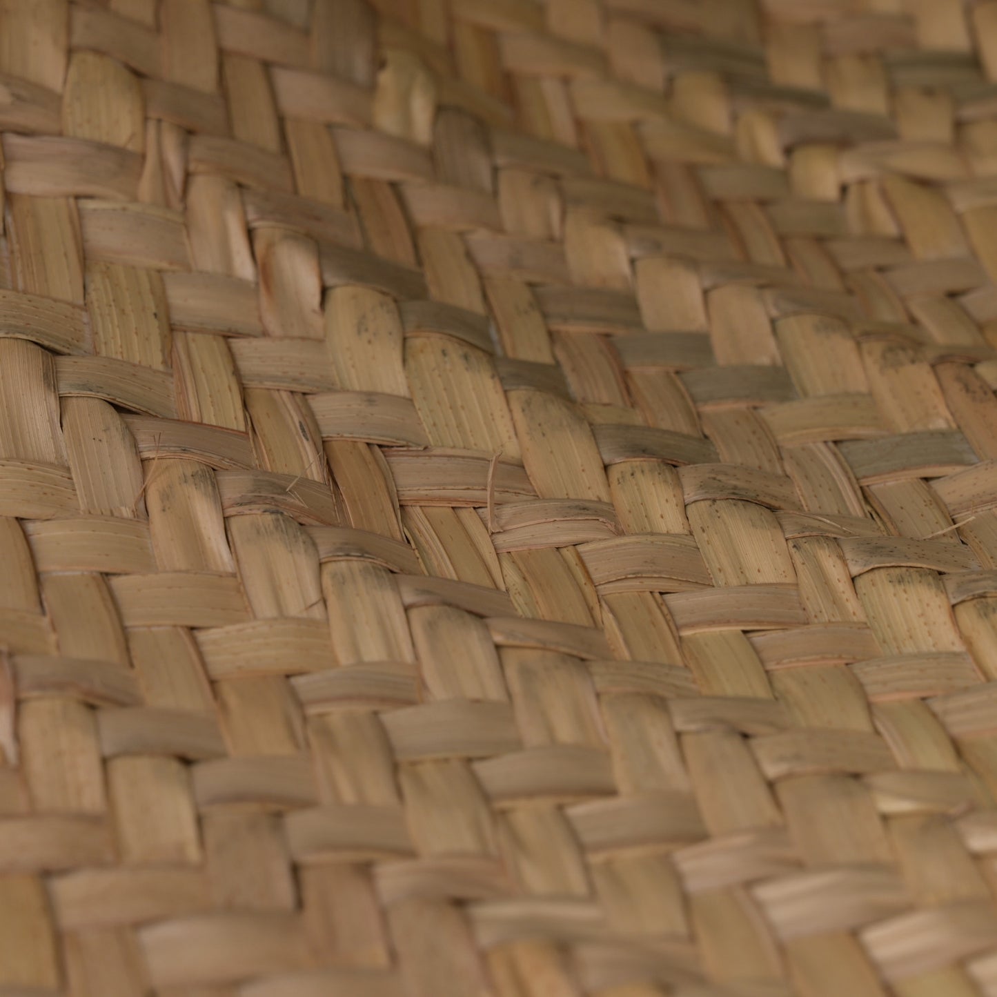 Raffia Silk Basket Bag Multicolor