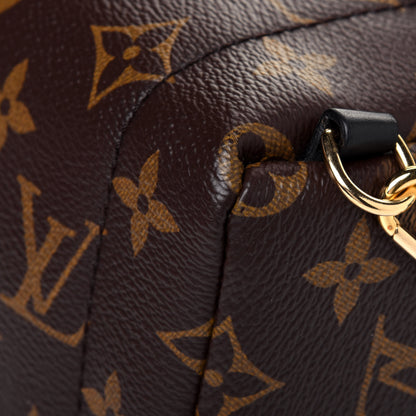 Louis Vuitton Monogram Palm Springs Backpack Mini 10 of 12