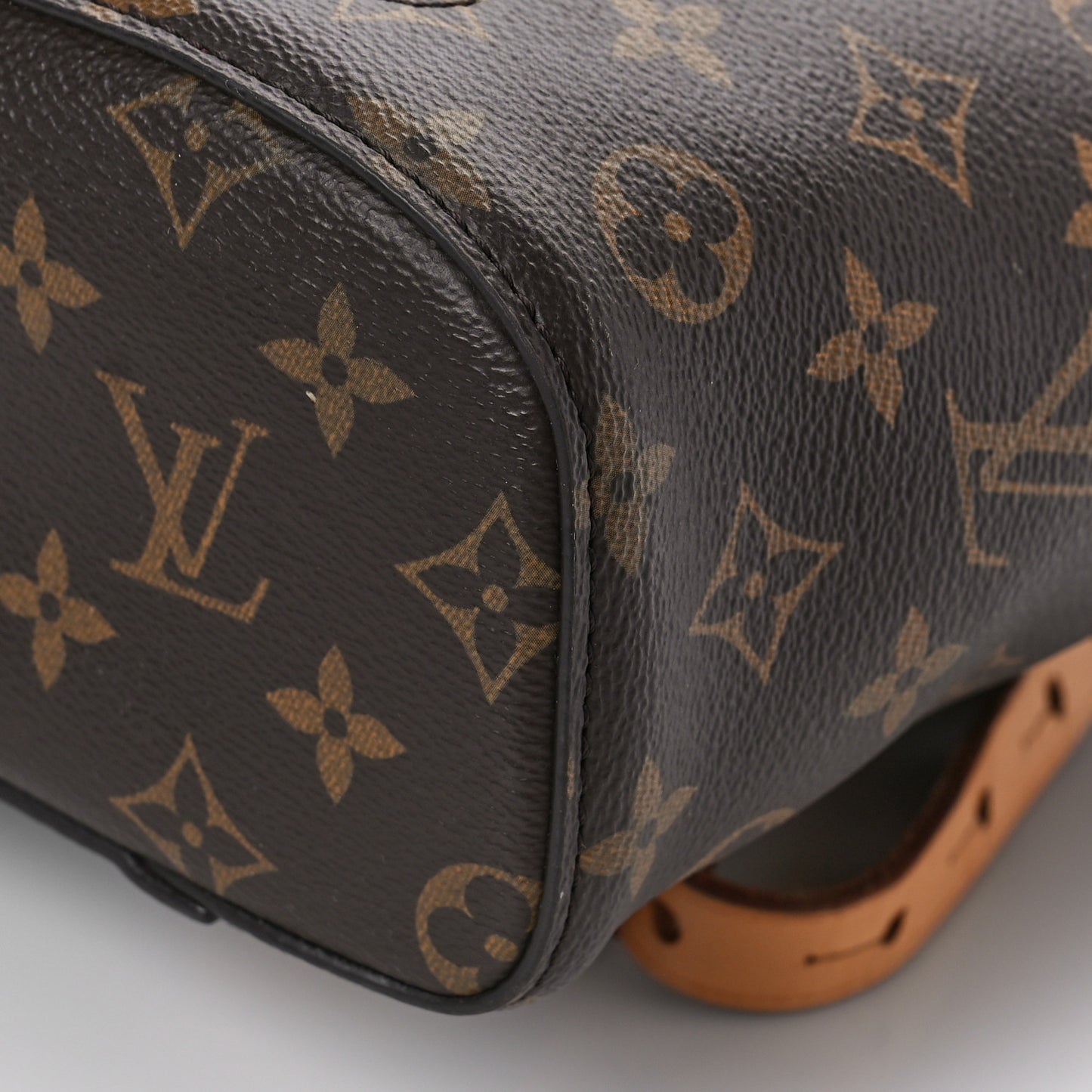 Monogram Montsouris NM Backpack