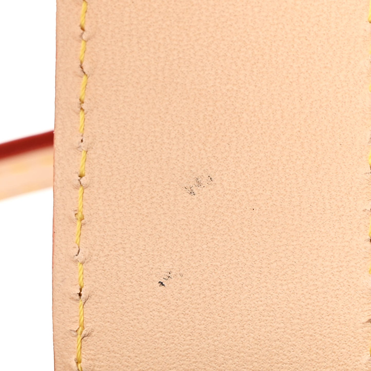 Monogram Speedy Trunk 20