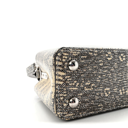 Louis Vuitton Lizard Mini Capucines Argento 8 of 10