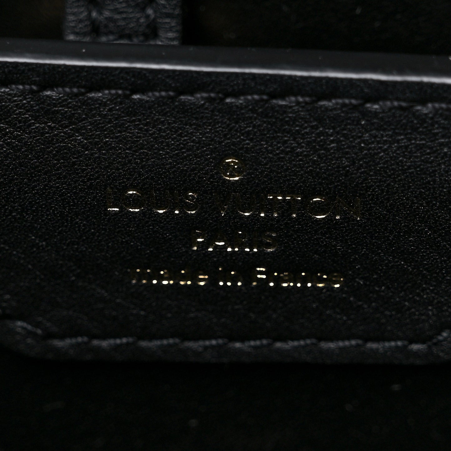 Calfskin Since 1854 Embroidered Capucines PM Black
