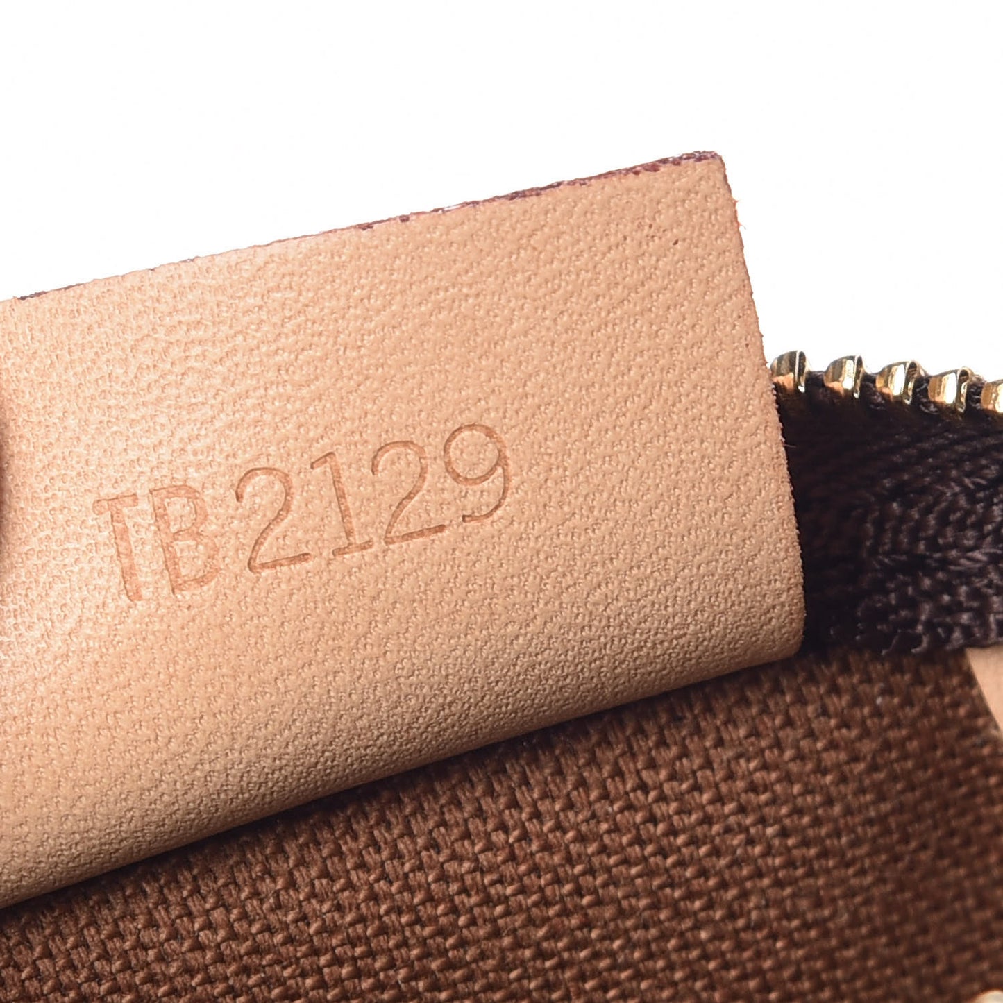 Monogram Nano Speedy