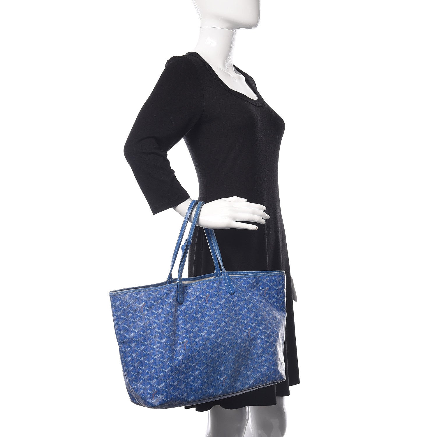 Goyard Goyardine Saint Louis PM Sky Blue 2 of 22