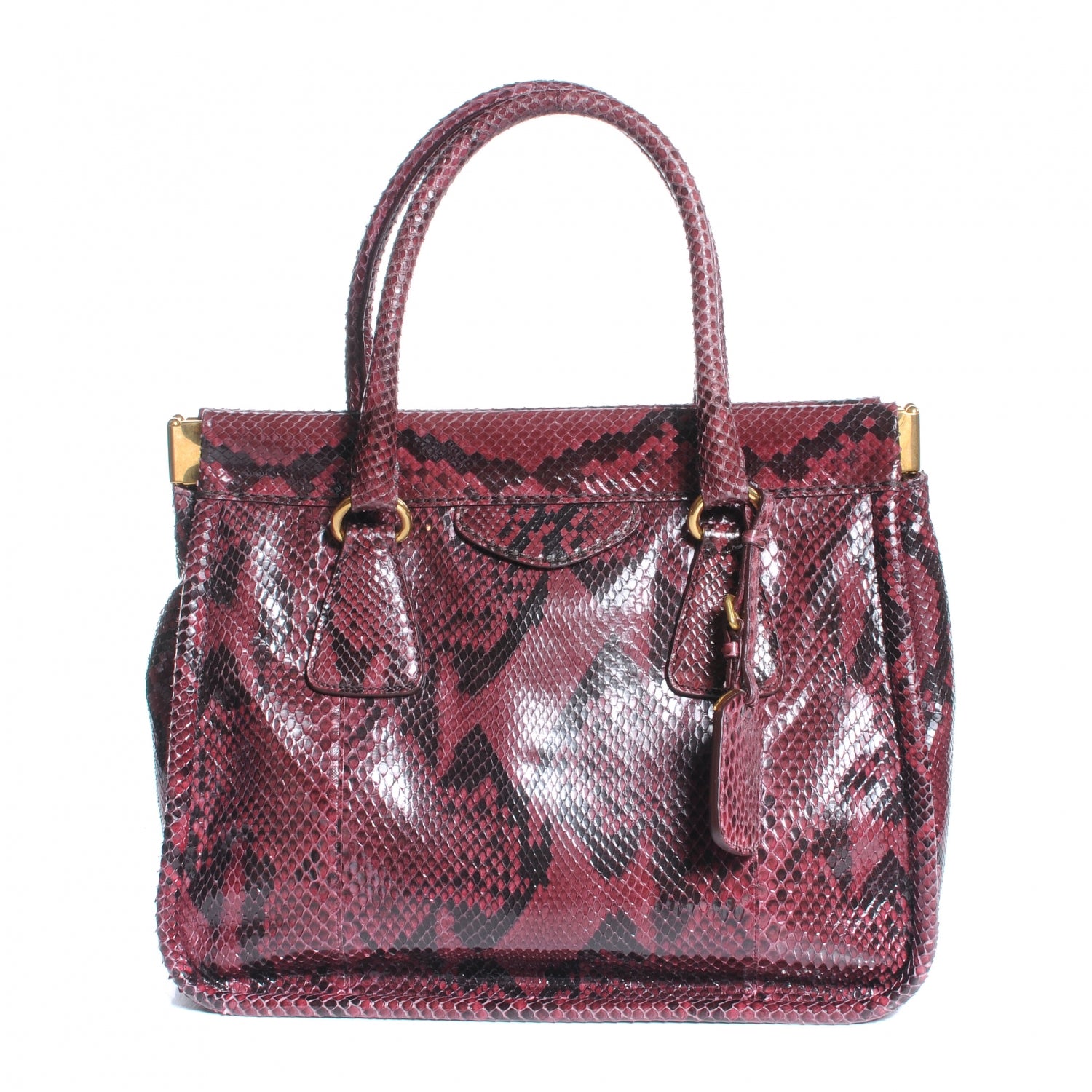 Prada Python Frame Bag Amarena 1 of 9