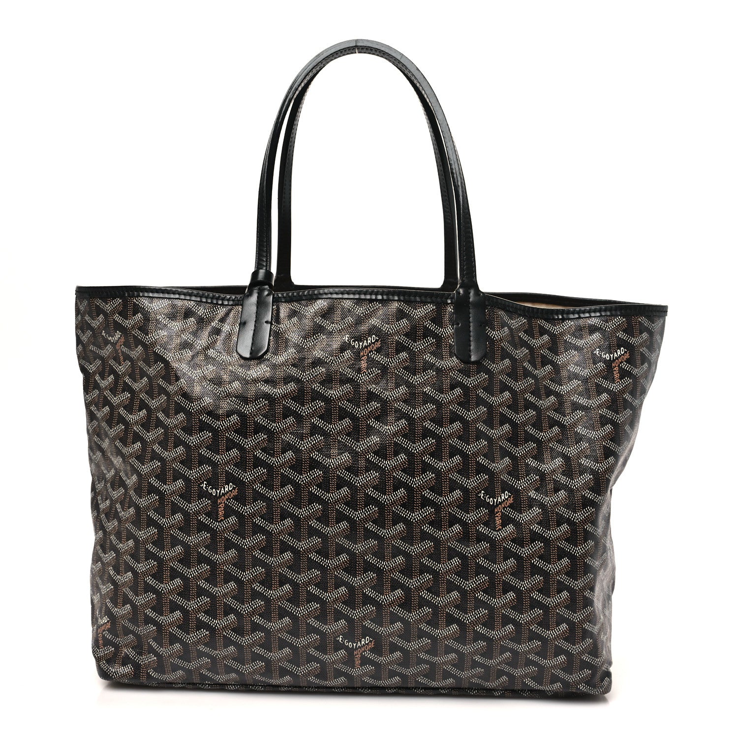 Goyard Goyardine Saint Louis PM Black 1 of 13