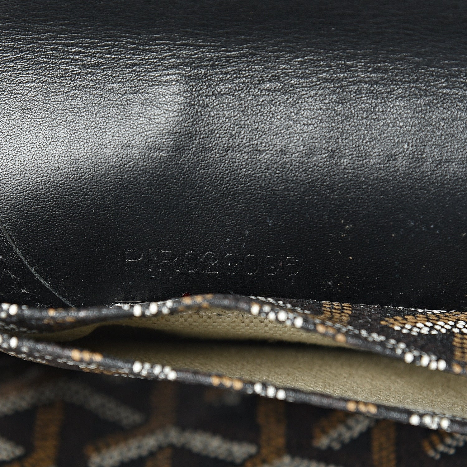 Goyard Goyardine Saint Louis PM Black 7 of 22