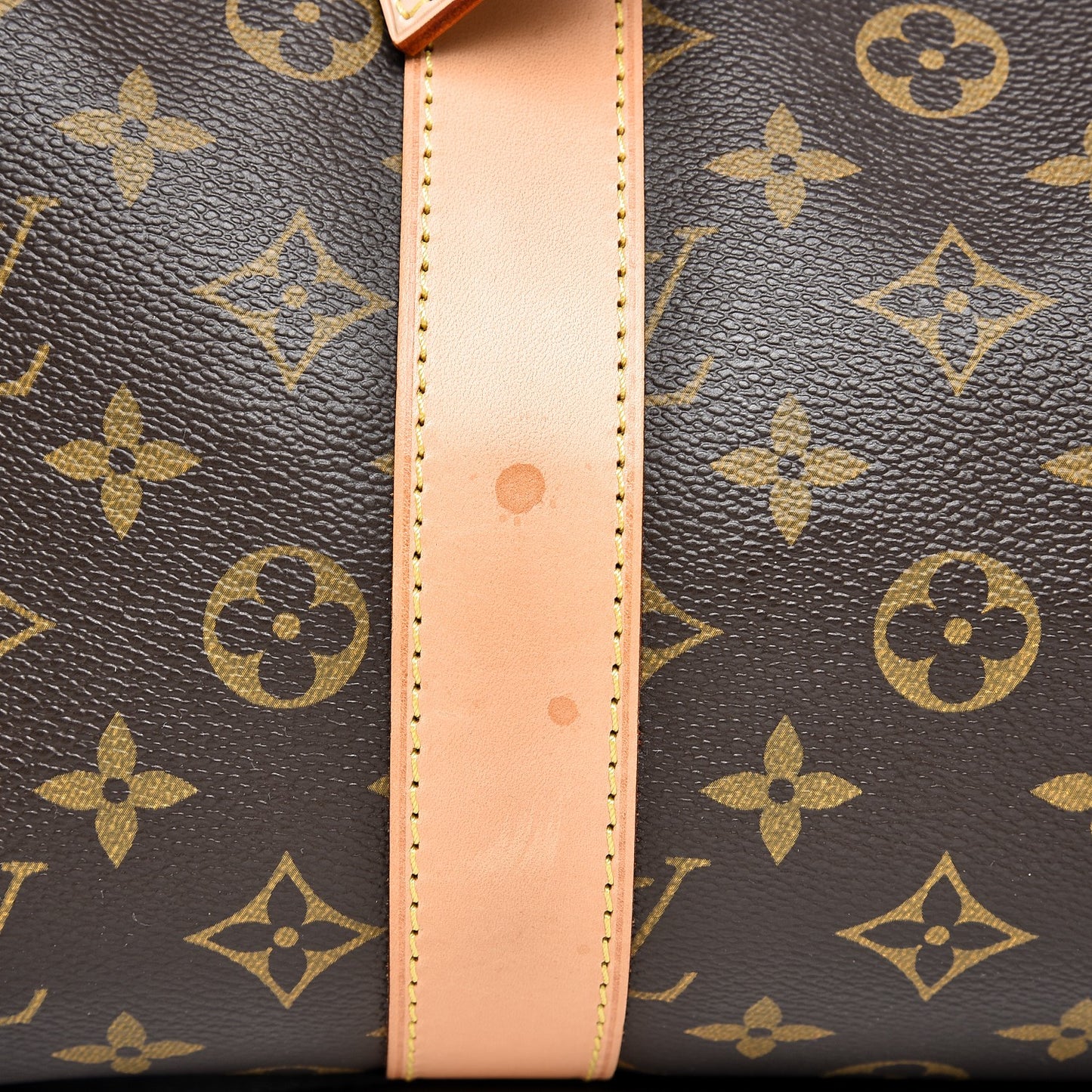 Monogram Carryall