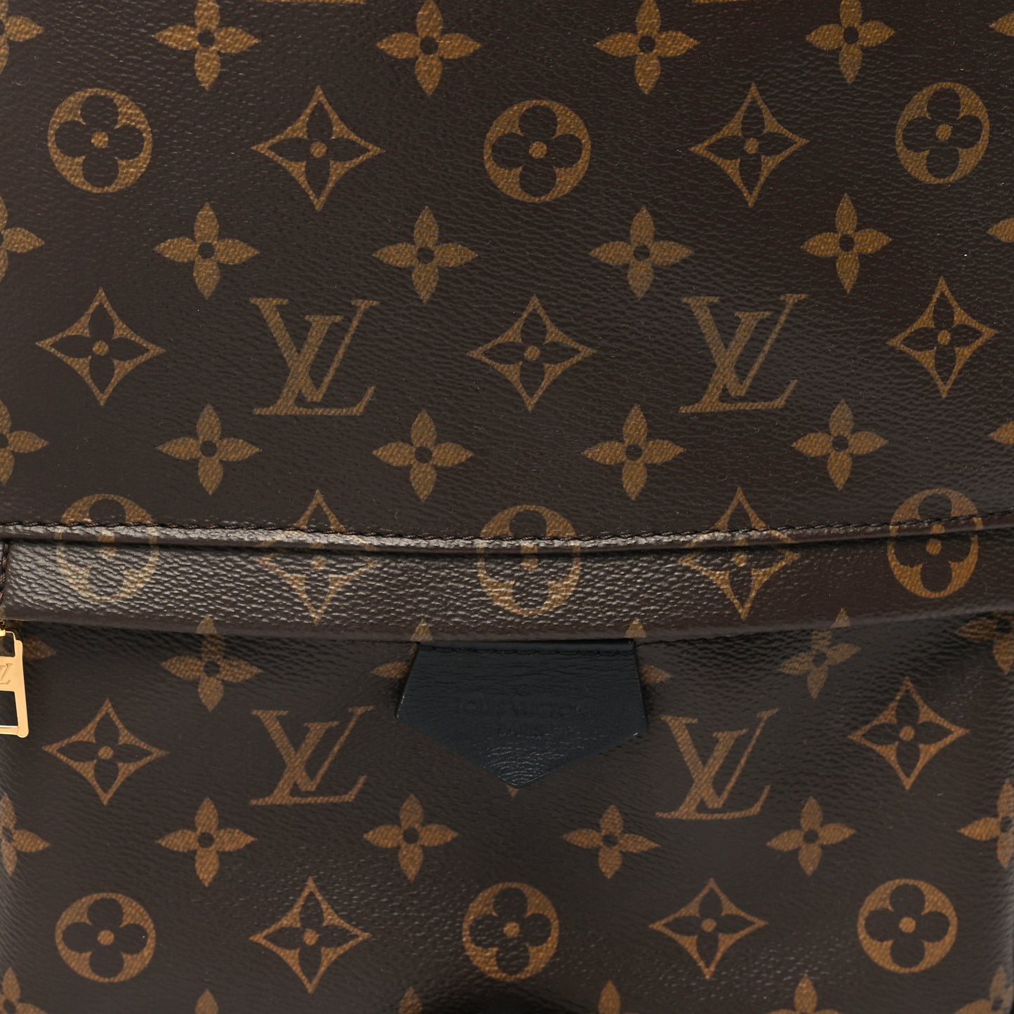 Monogram Palm Springs Backpack MM
